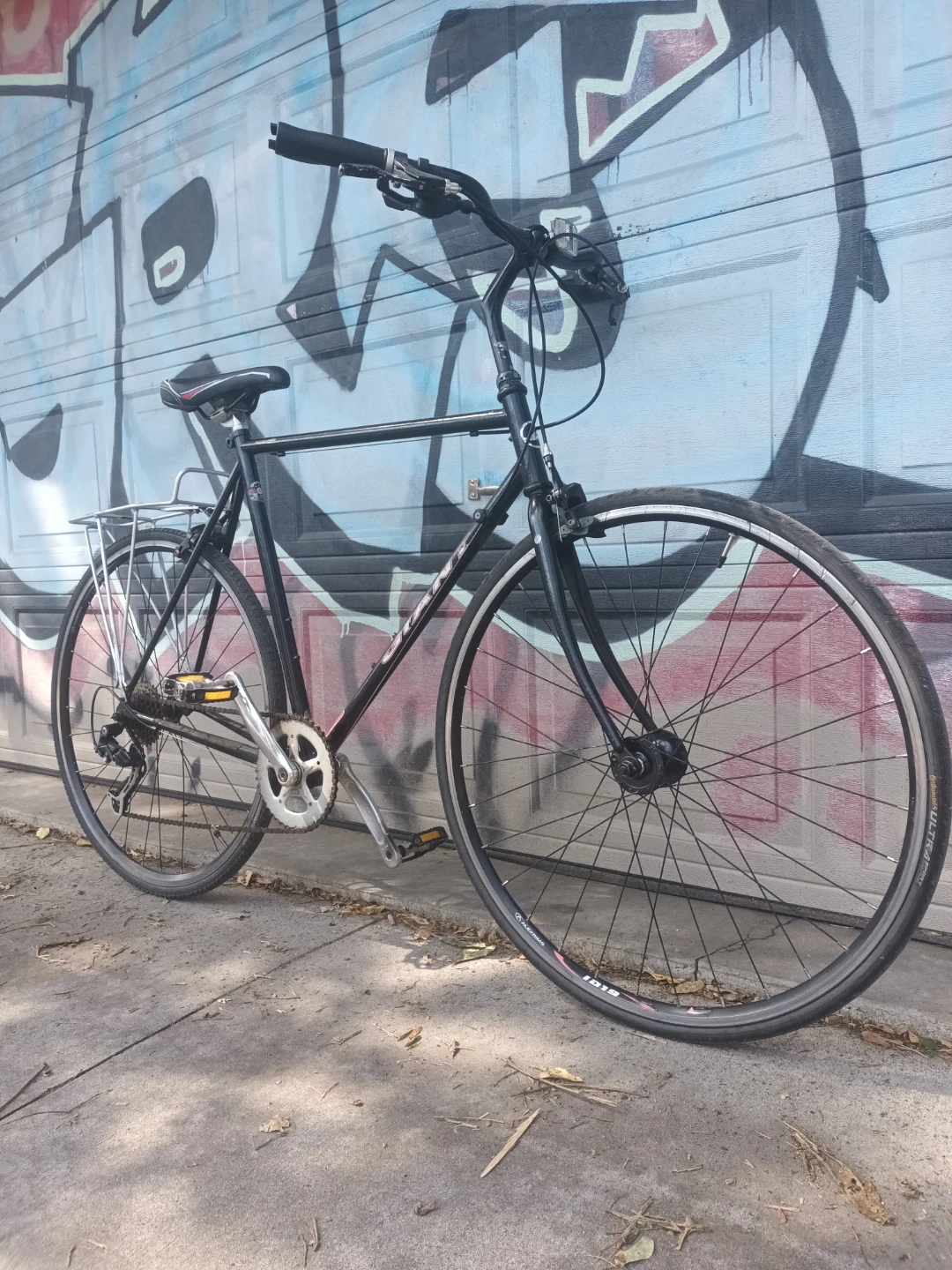 Giant Kronos Bike