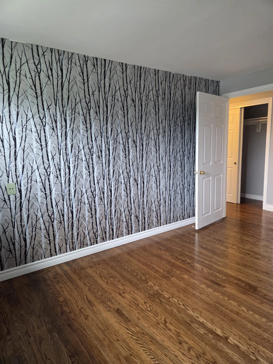 2 Room for rent
