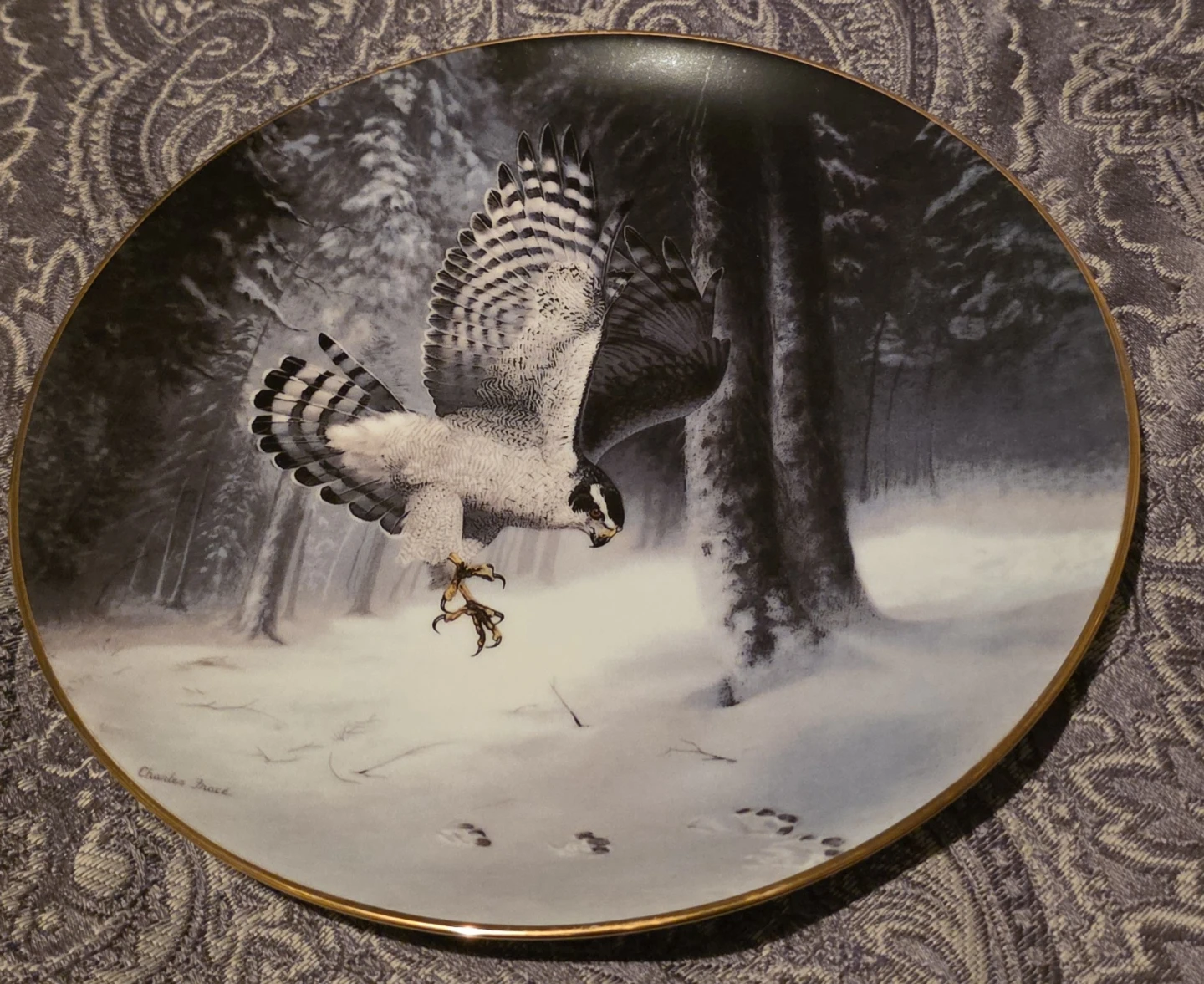 The Northern Goshawk Collector Plate by Charles Fracé