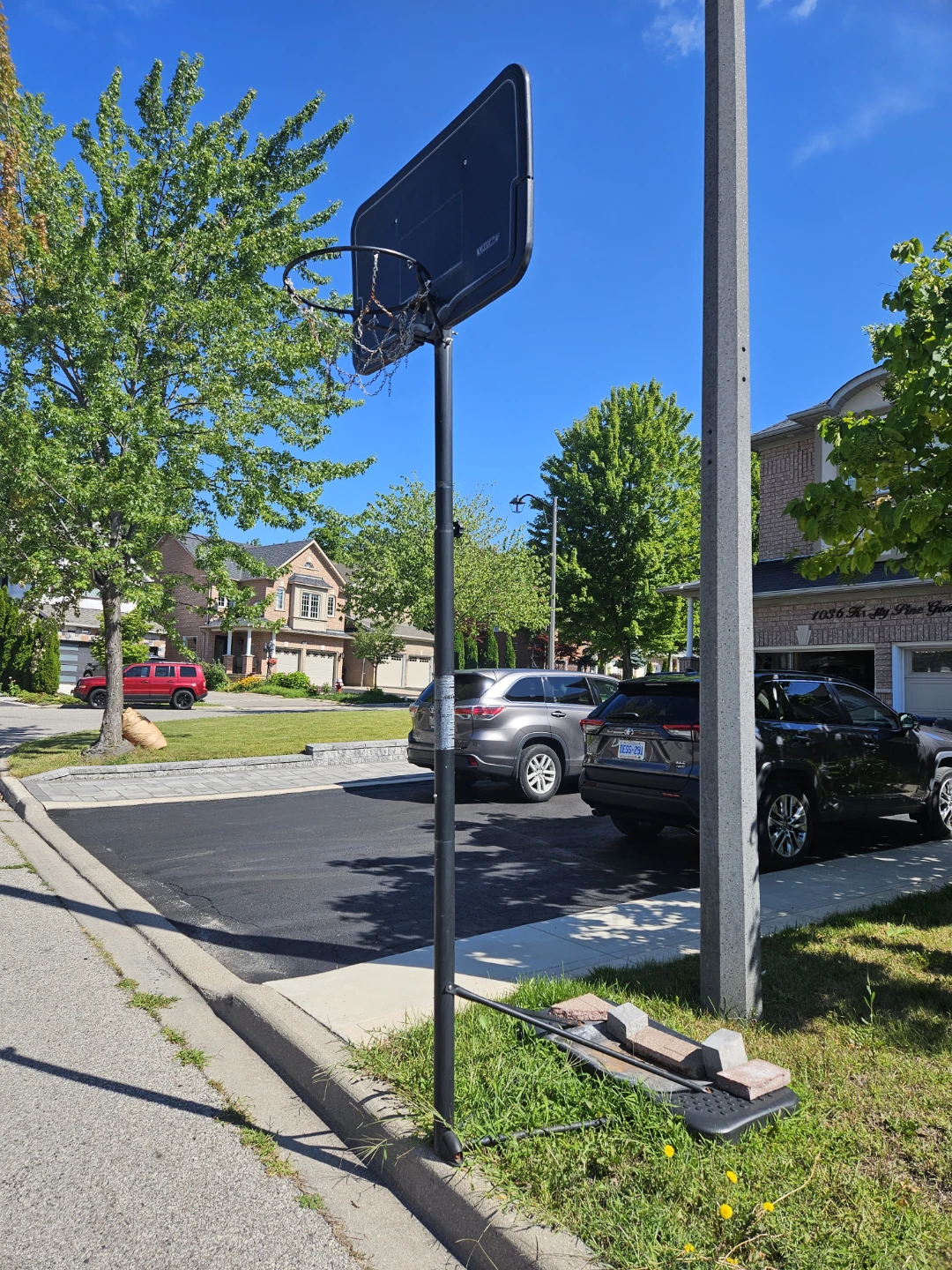 Lifetime Basketball Hoop