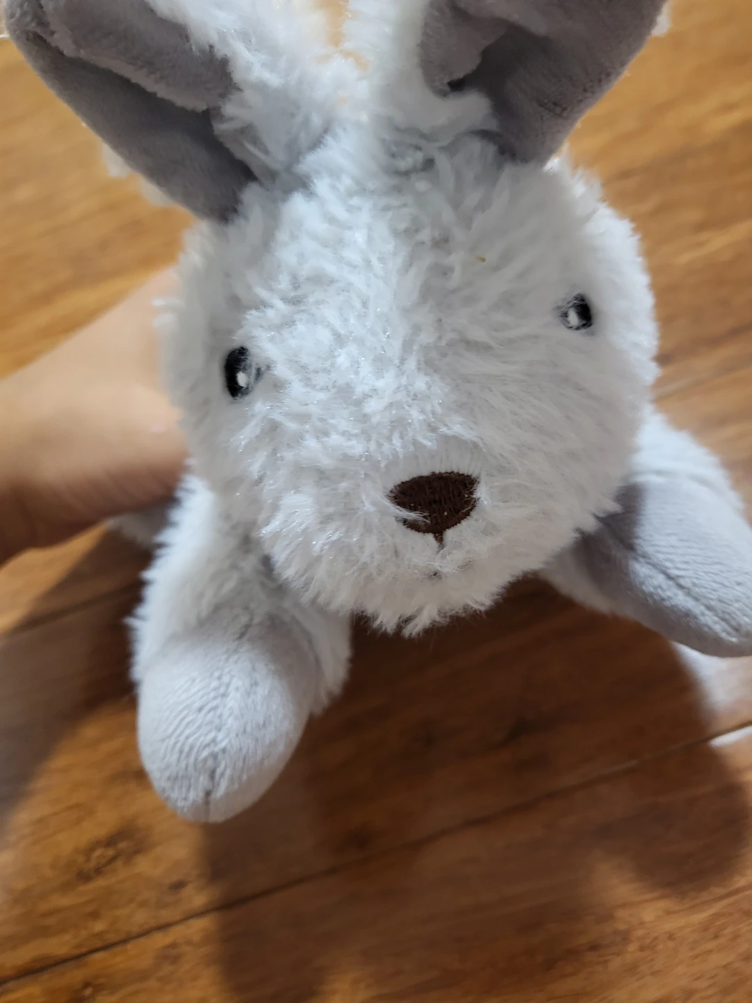 Plush Owl, Popcorn, and a grey bunny - photo 2