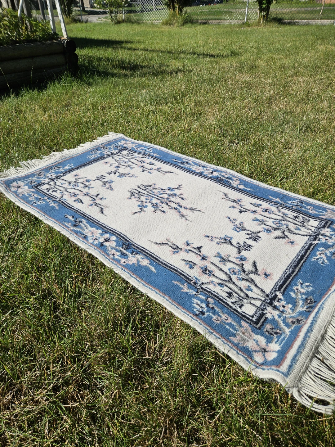 Area Rug Carpet