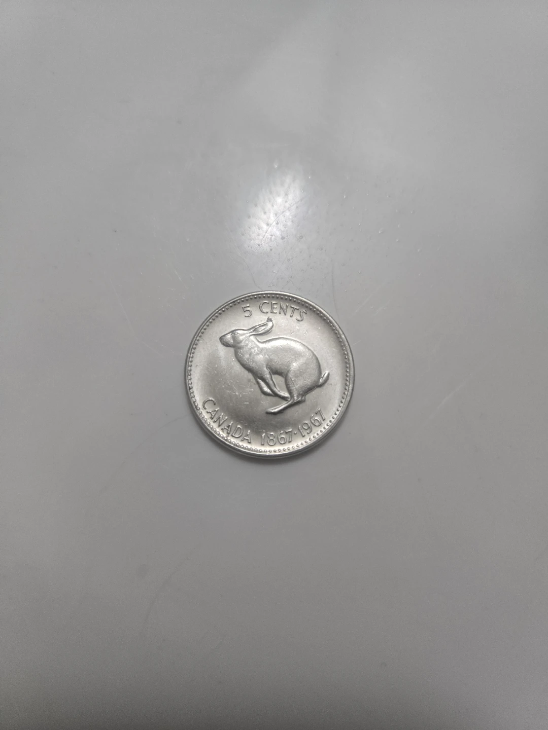 1967 Canada 5 Cents Coin - Rabbit