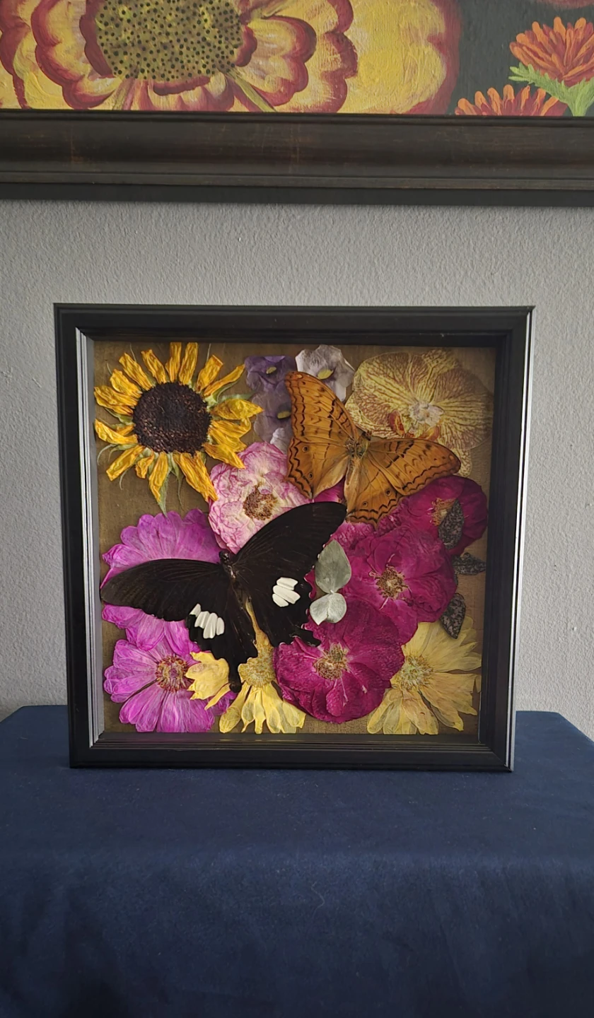 White and black Helen and Common Cruiser shadow box - photo 2