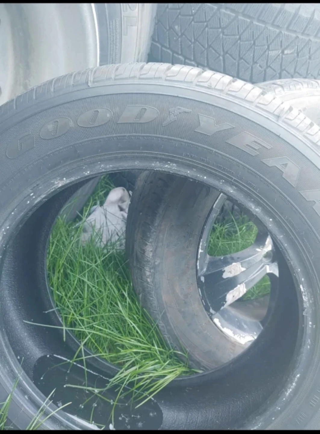 Car tires - photo 2