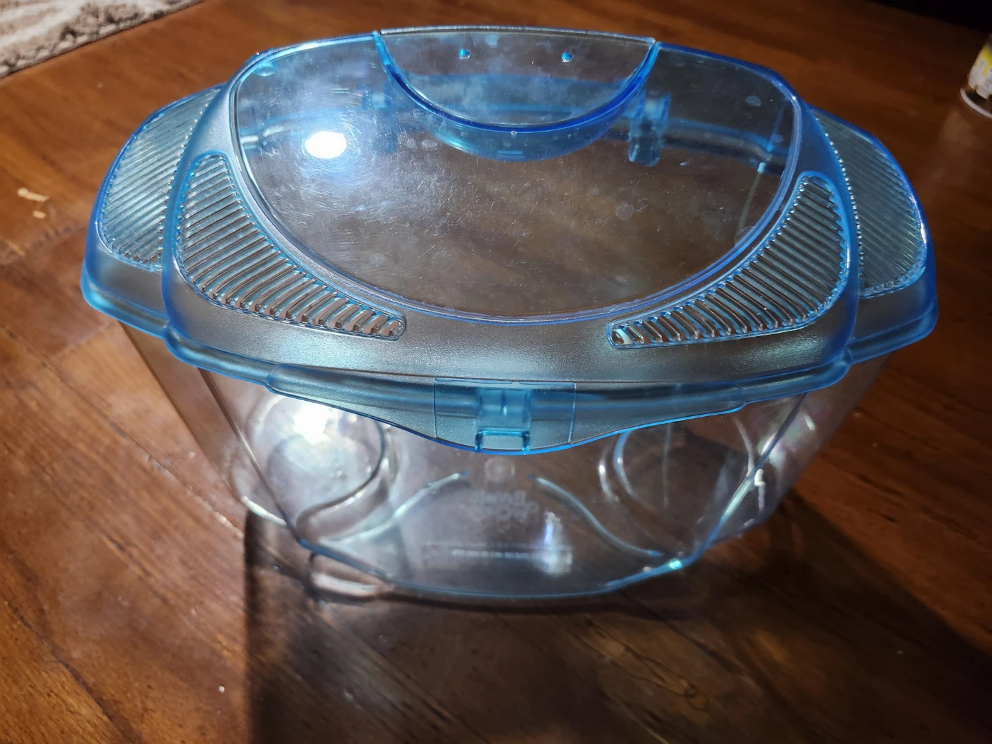 Fish Tank / Terrarium (11 inch wide by 8 in high)