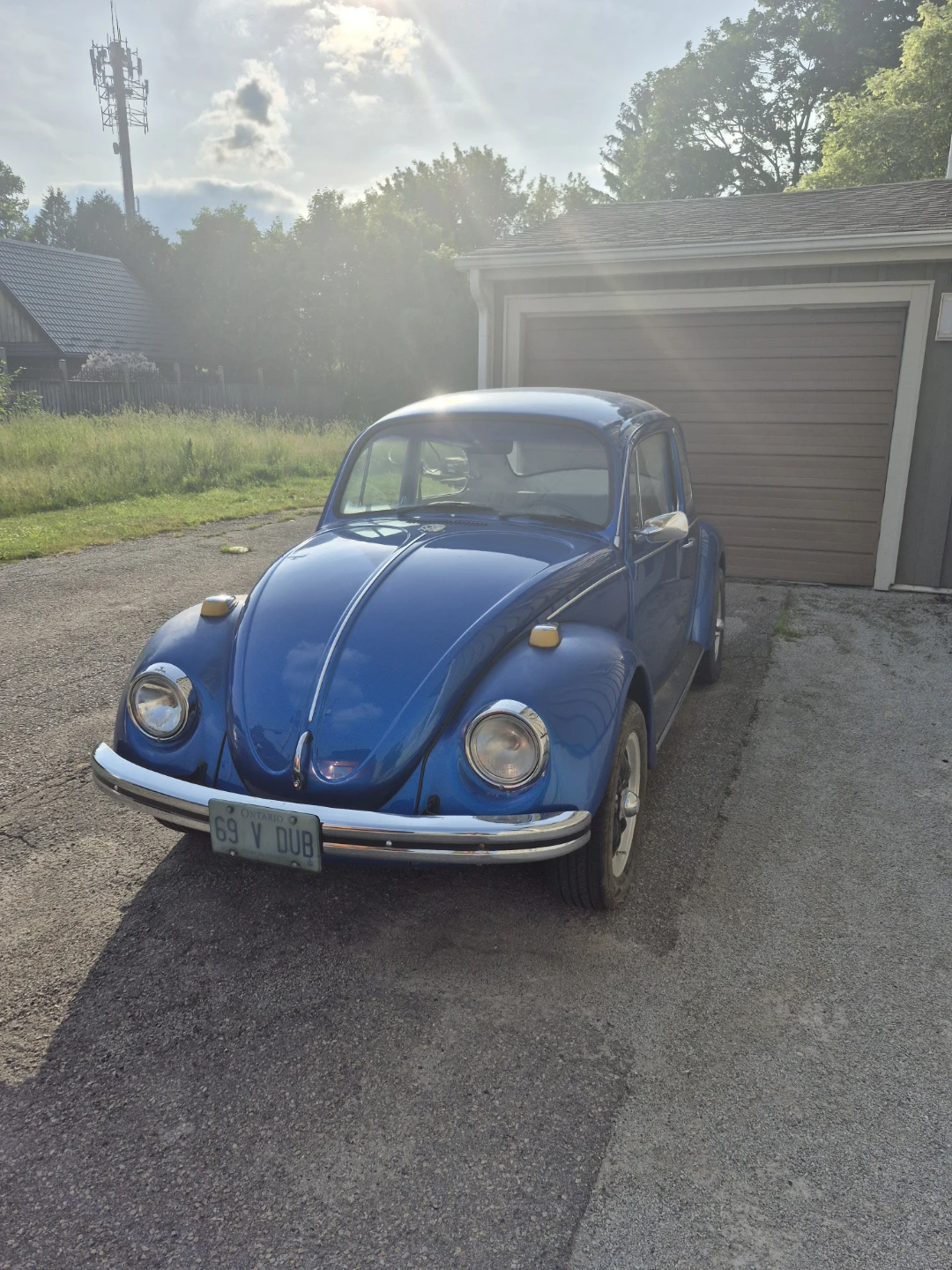 1969 vw beetle - photo 2