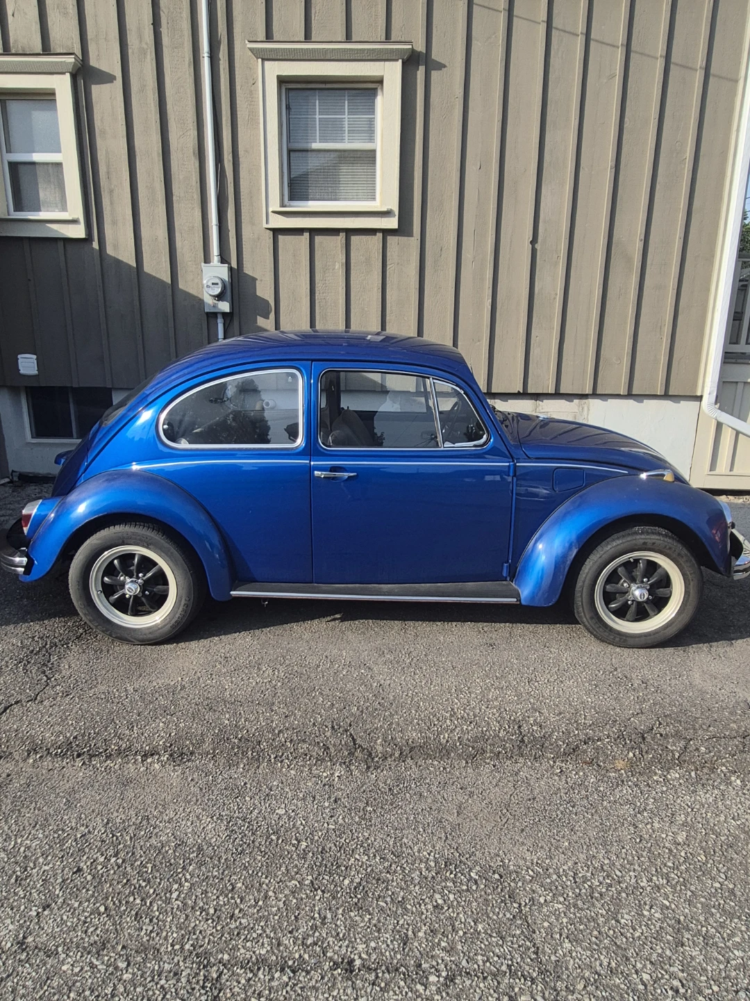 1969 vw beetle - photo 3