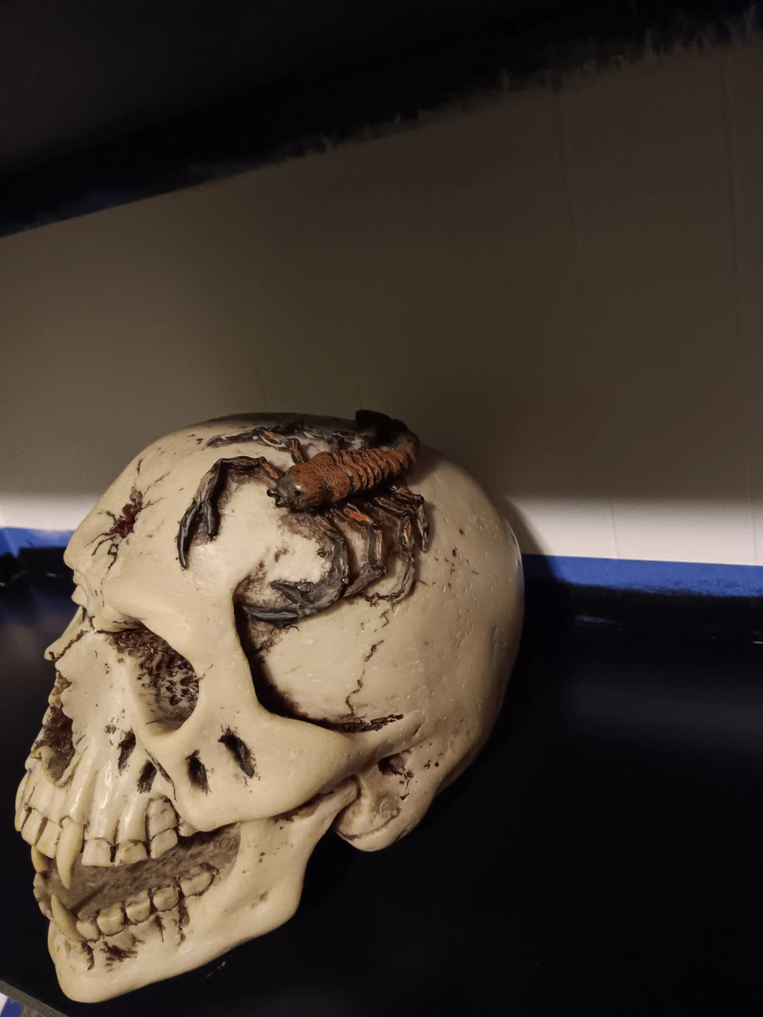 Scary Skull Decoration with Spiders and Scorpion - photo 2