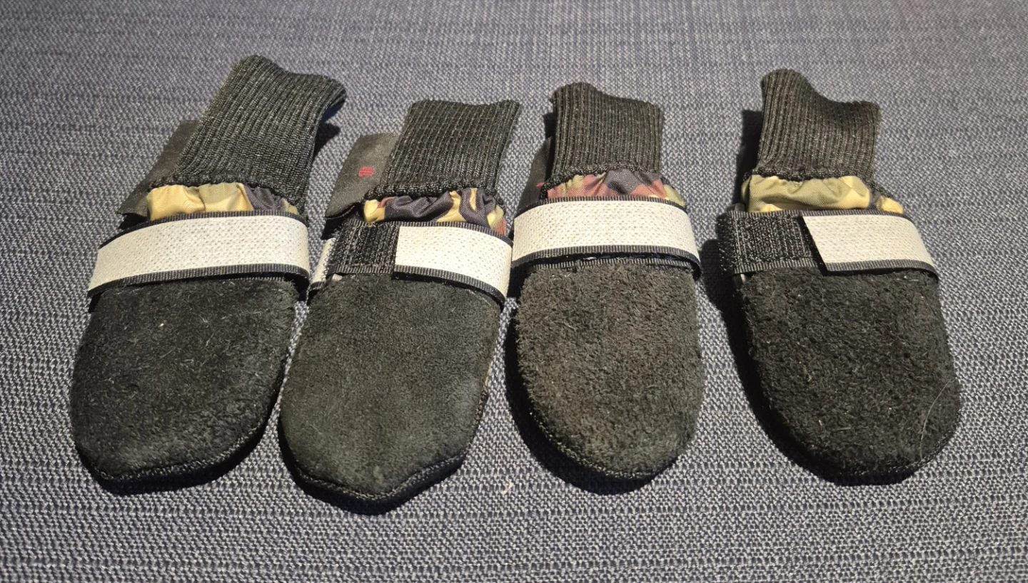 FREE Muttluks Dog Boots - Size Mini - photo 3