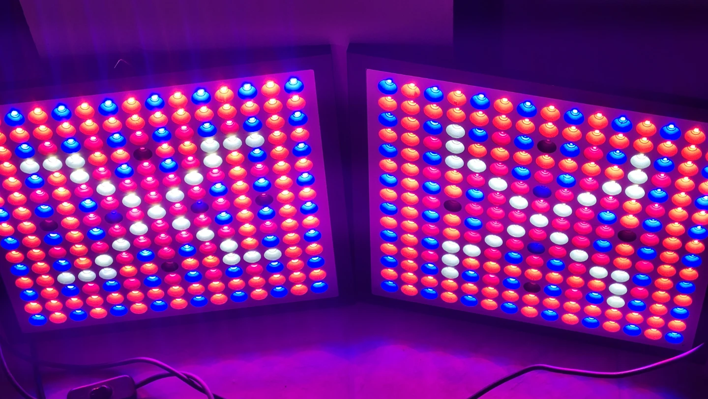 Pair of LED Grow Lights