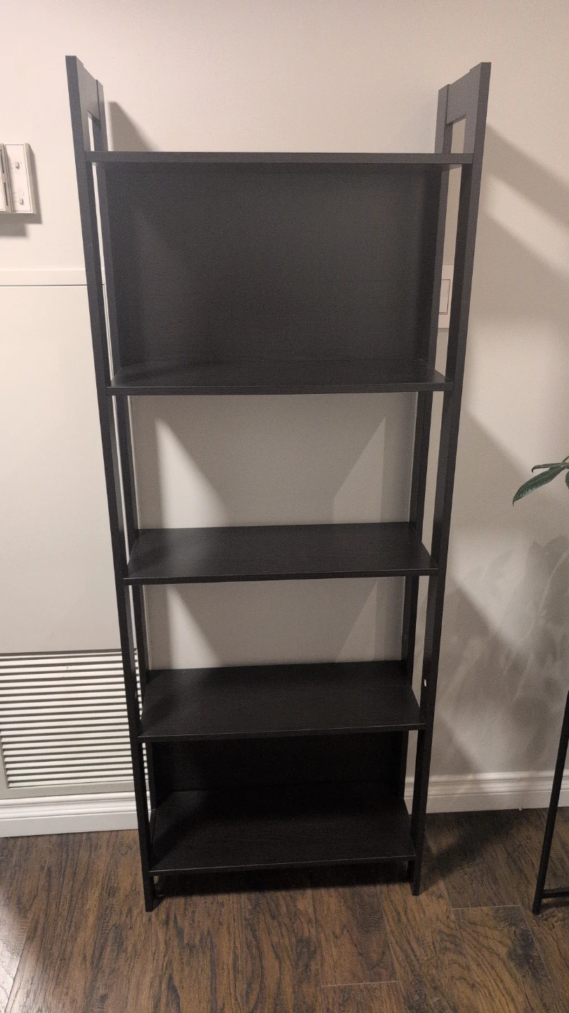 Black Ladder Bookshelf