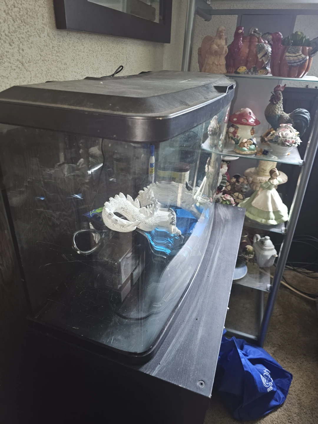 23 gallon fluval bowfront fish tank - photo 3