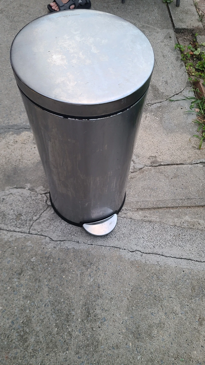 Simplehuman Stainless Steel Step Trash Can