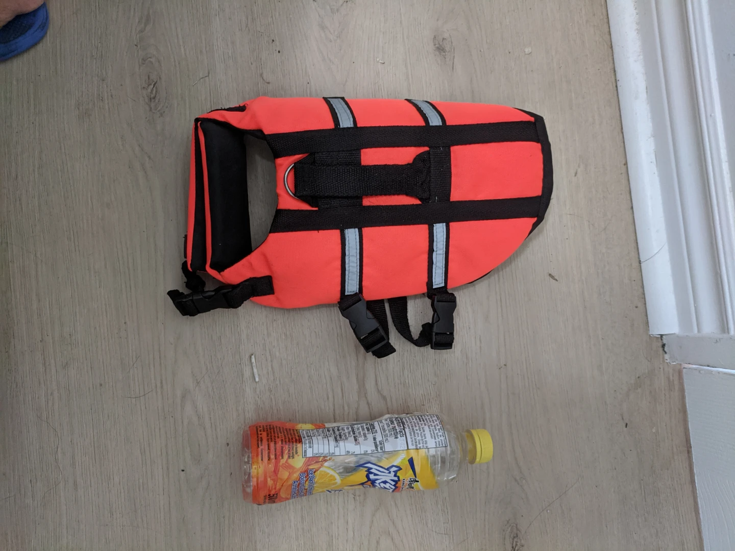 Orange Dog Life Jacket - photo 4