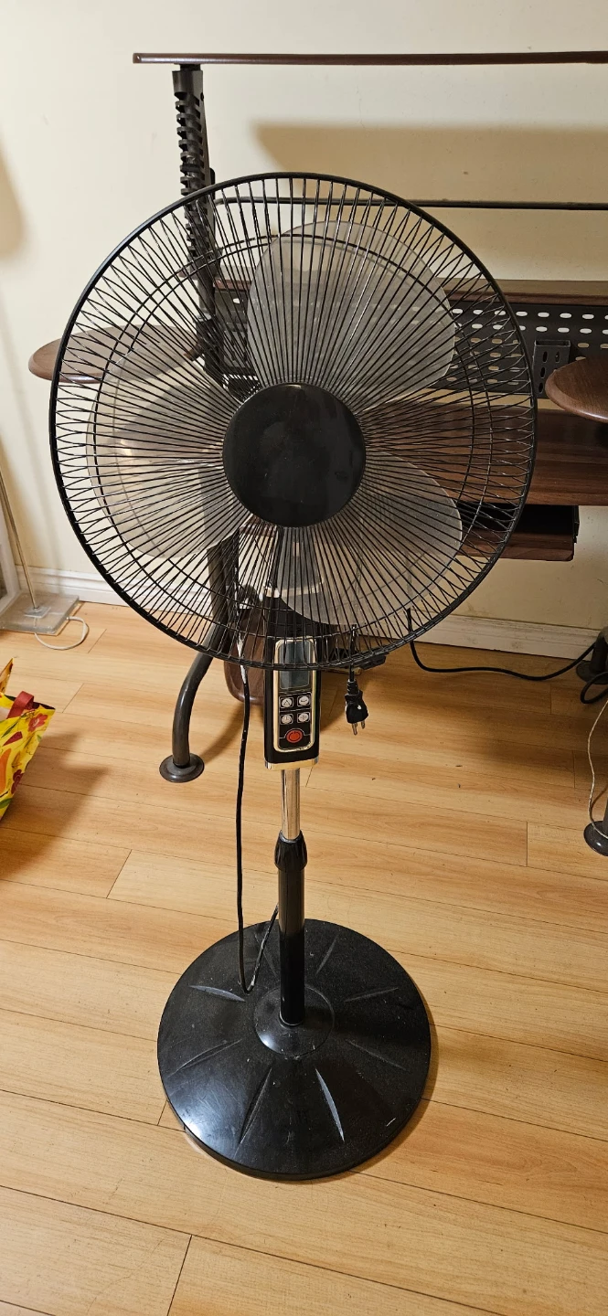 Black Pedestal Fan