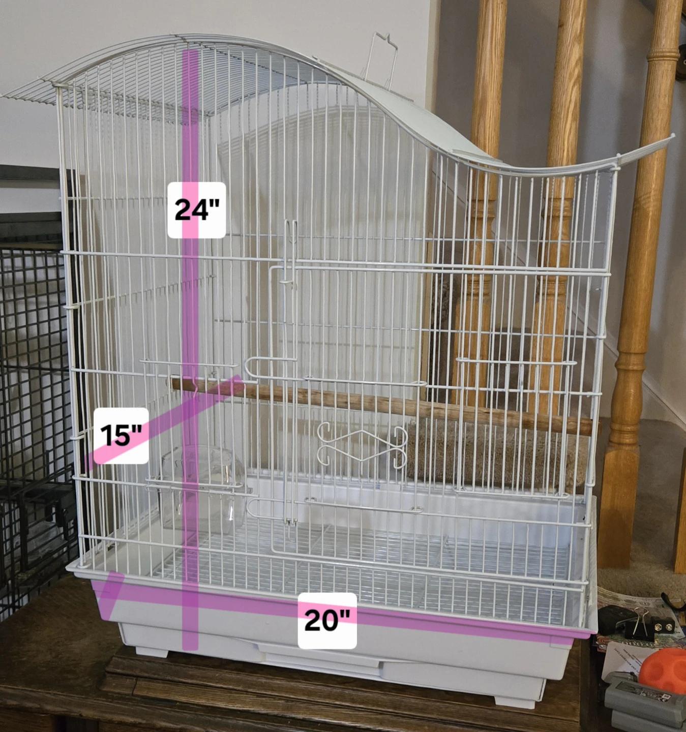 Bird Cage