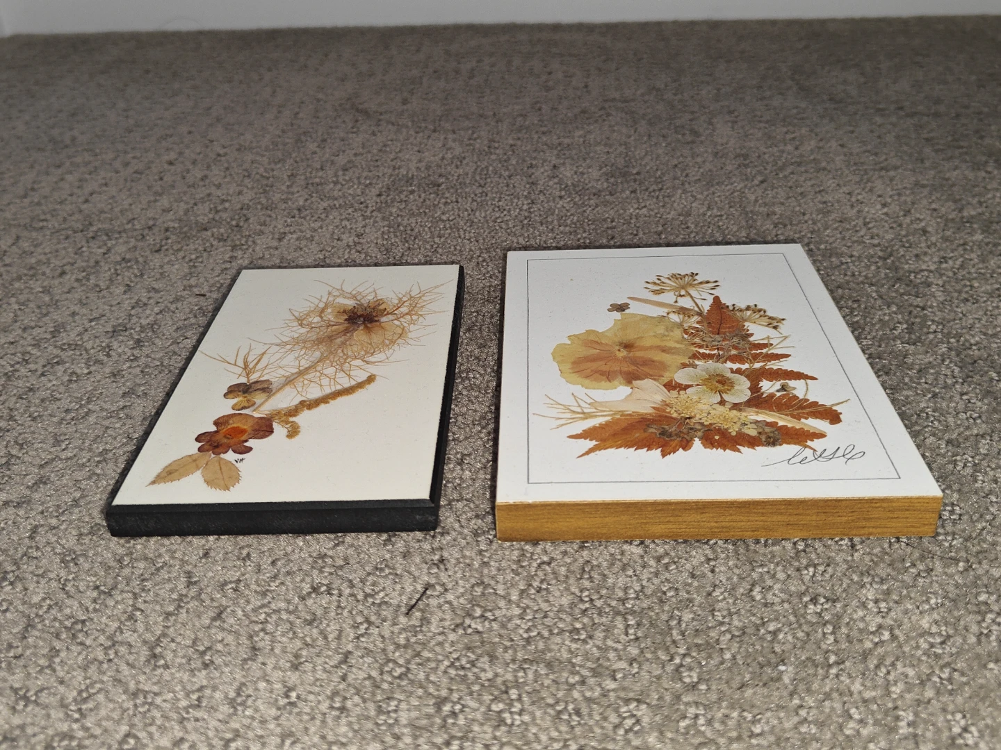 2 Hand-Pressed Preserved Flowers Botanical Art Wall Art - Canada - photo 2