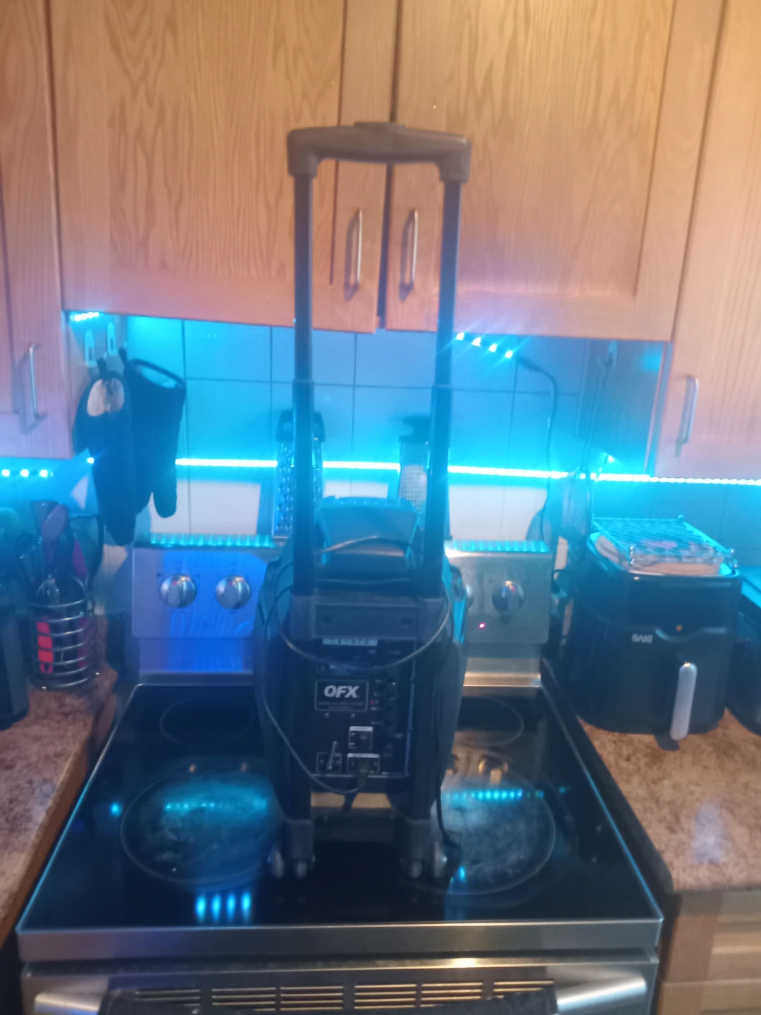 Qfx portable speaker - photo 4