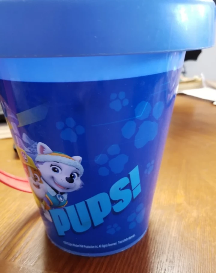 Paw Patrol Bucket - photo 2