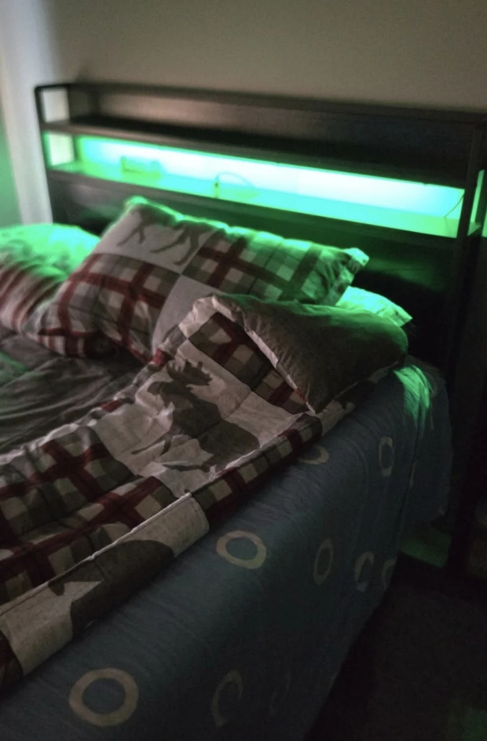 Black Metal Bed Frame with Headboard Shelving and LED Lights - photo 4