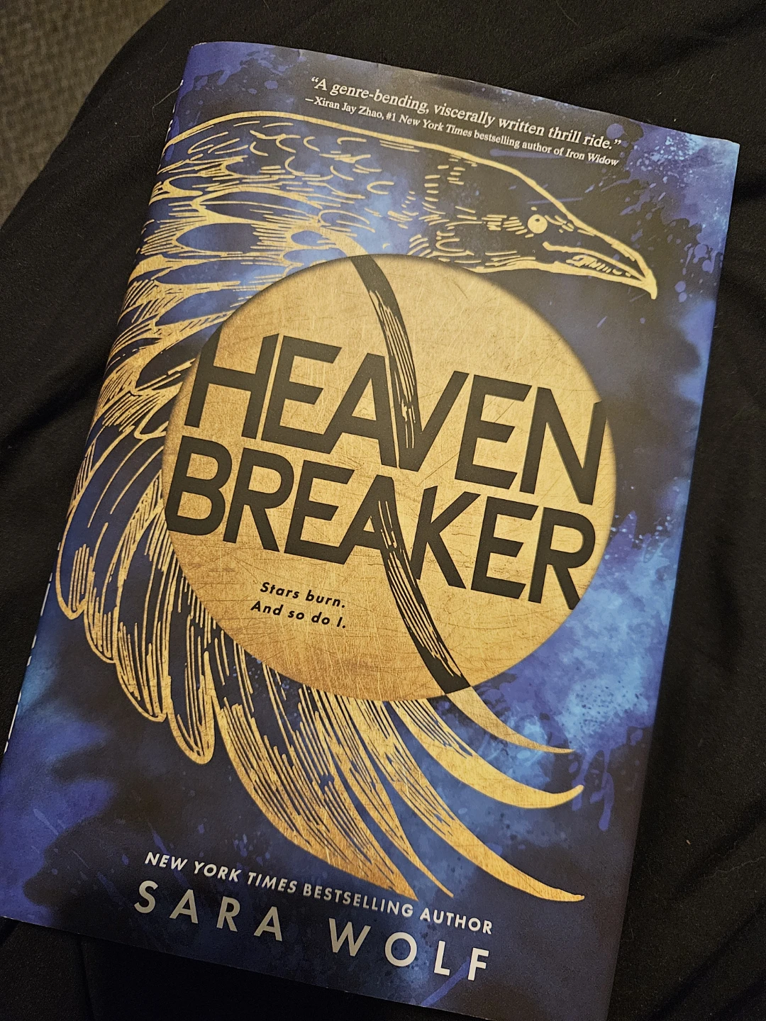 Heaven Breaker by Sara Wolf