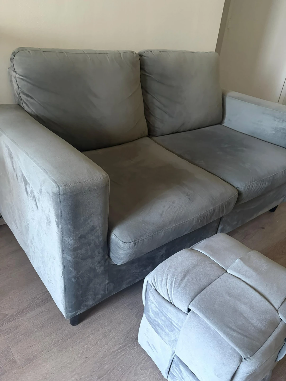 Light Gray Velvet 2-Seater Sofa