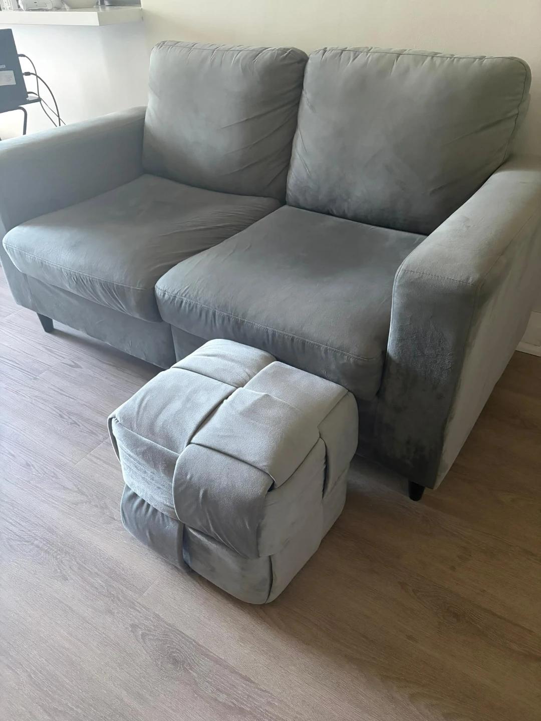 Light Gray Velvet 2-Seater Sofa - photo 2