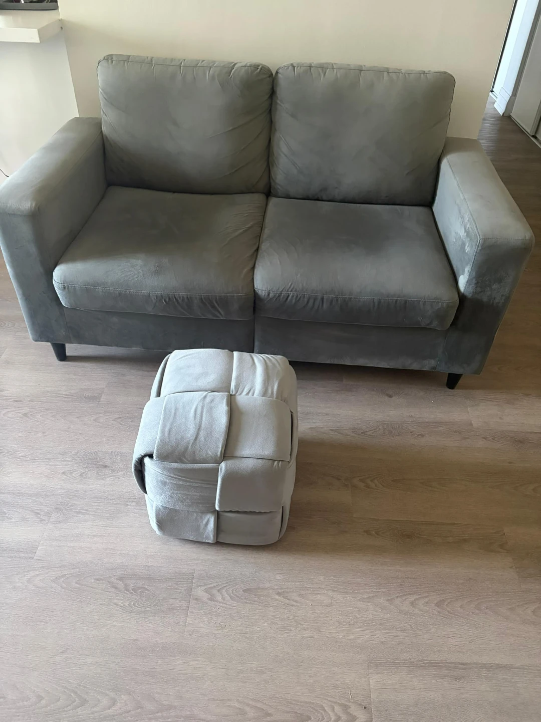 Light Gray Velvet 2-Seater Sofa - photo 3