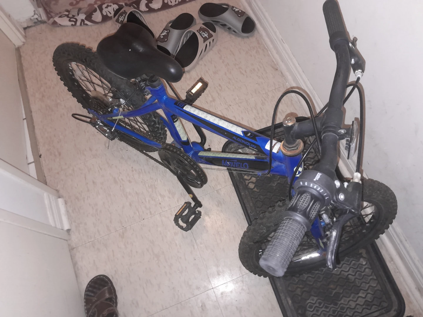 Movelo Algonquin 18" Kids Bike - photo 2