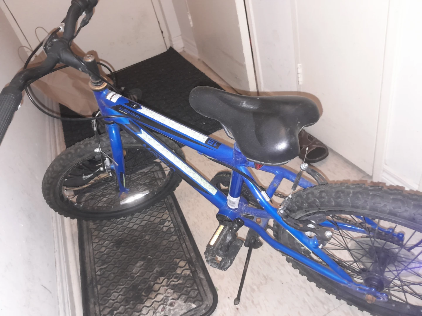 Movelo Algonquin 18" Kids Bike - photo 4