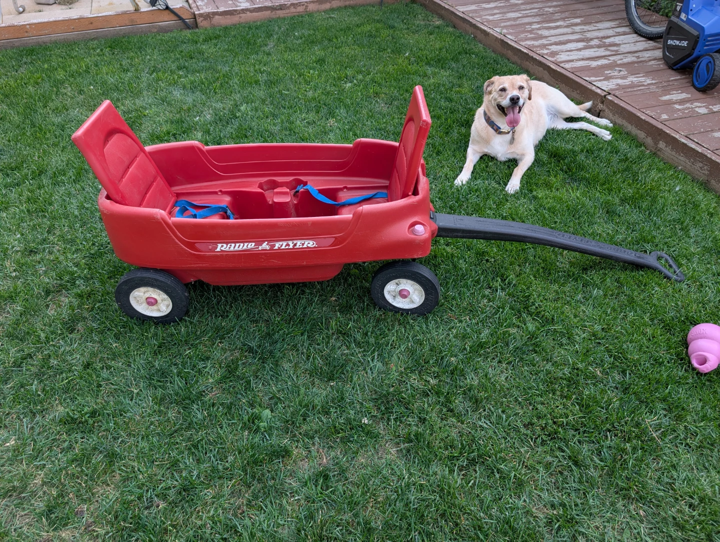 Radio Flyer Wagon