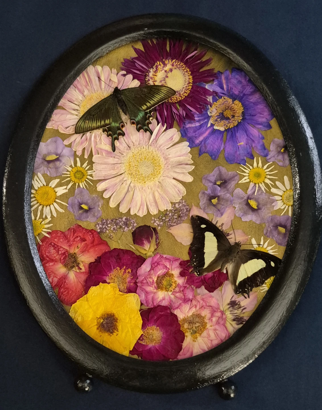 Chinese Peacock and Common Nawab in metal MCM frame - photo 2