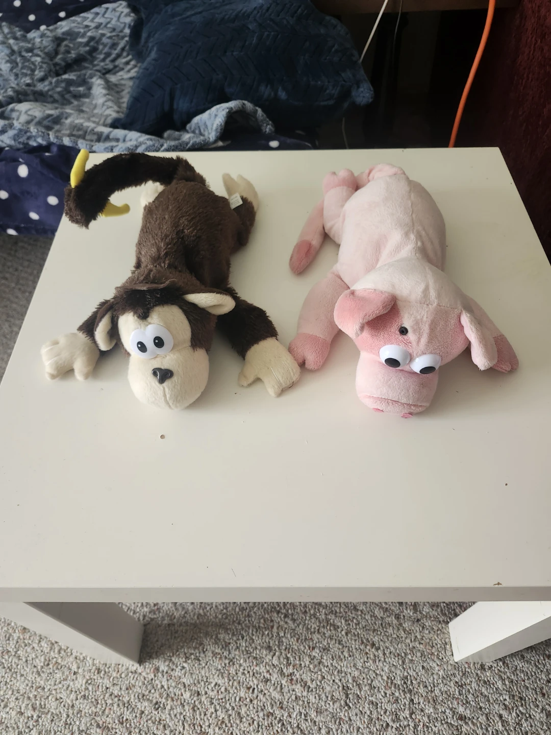Rolling laughing dog and pig
