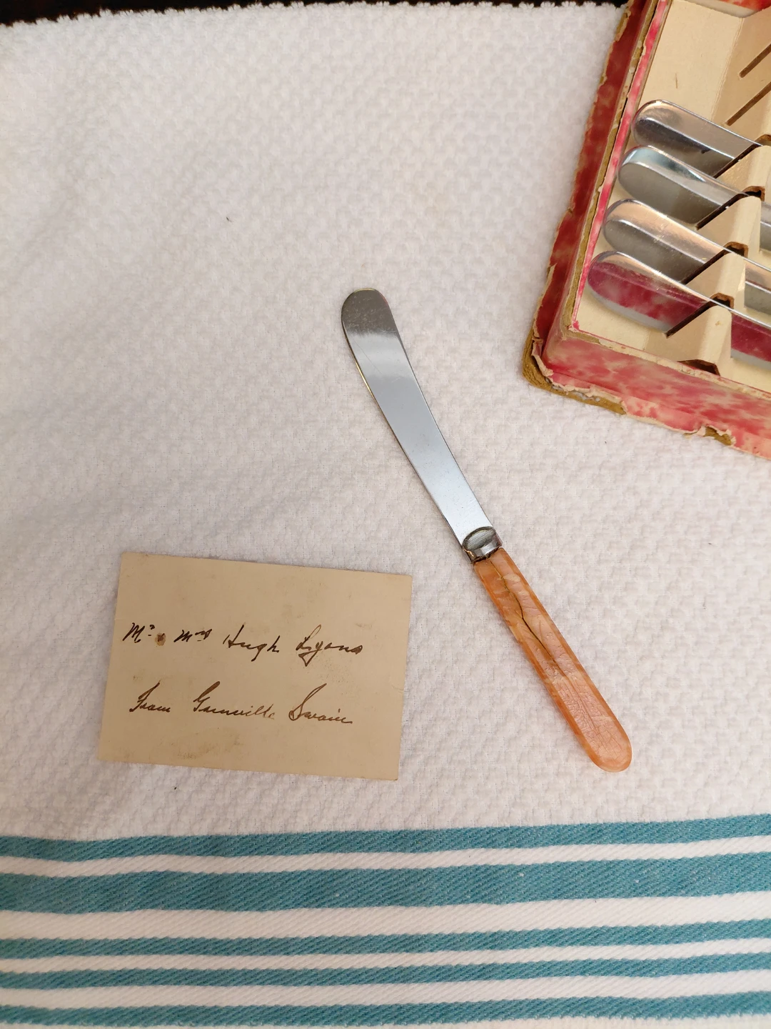 Set of 5 Vintage Butter Knives with Case - photo 5