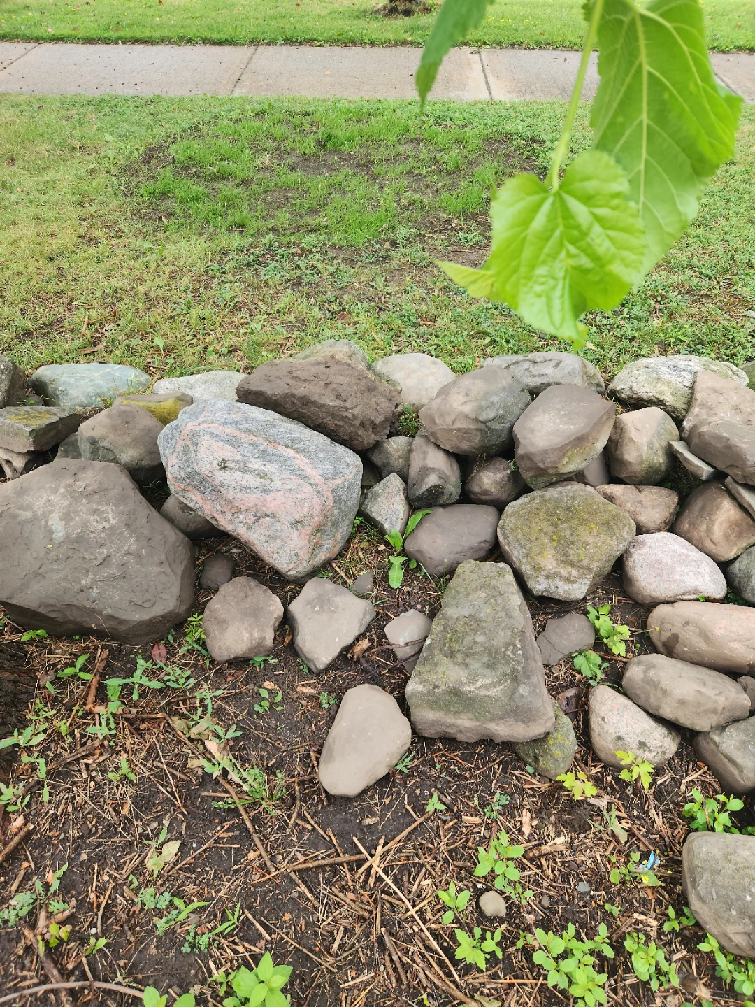 Assorted Natural Boulders - photo 4