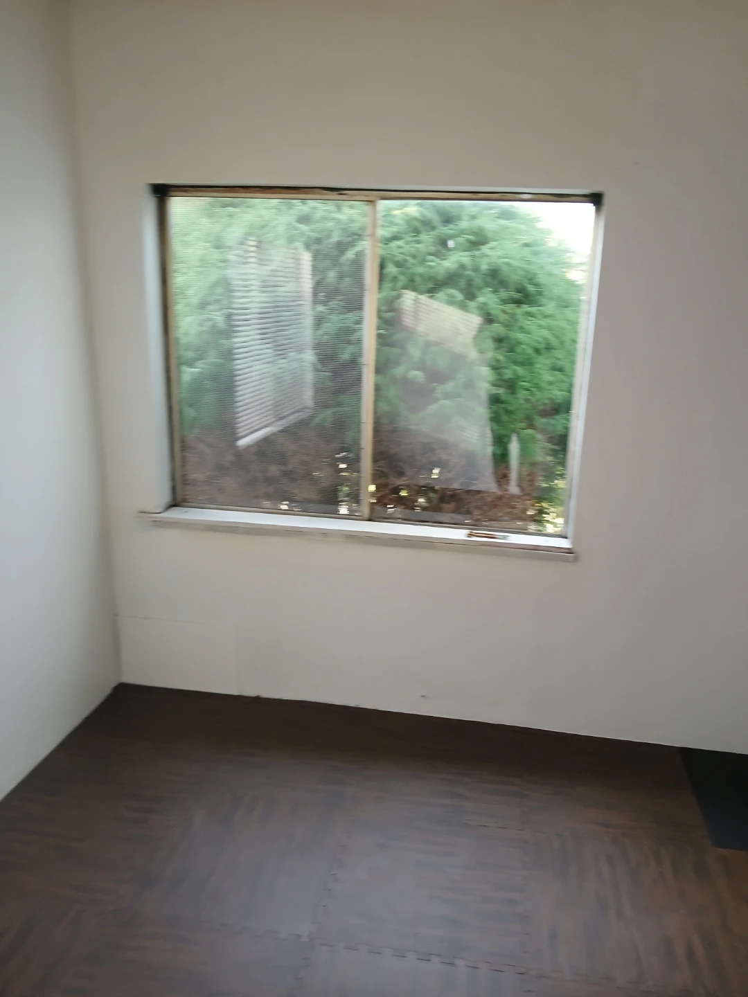 Room for rent-quiet respectful home - photo 5