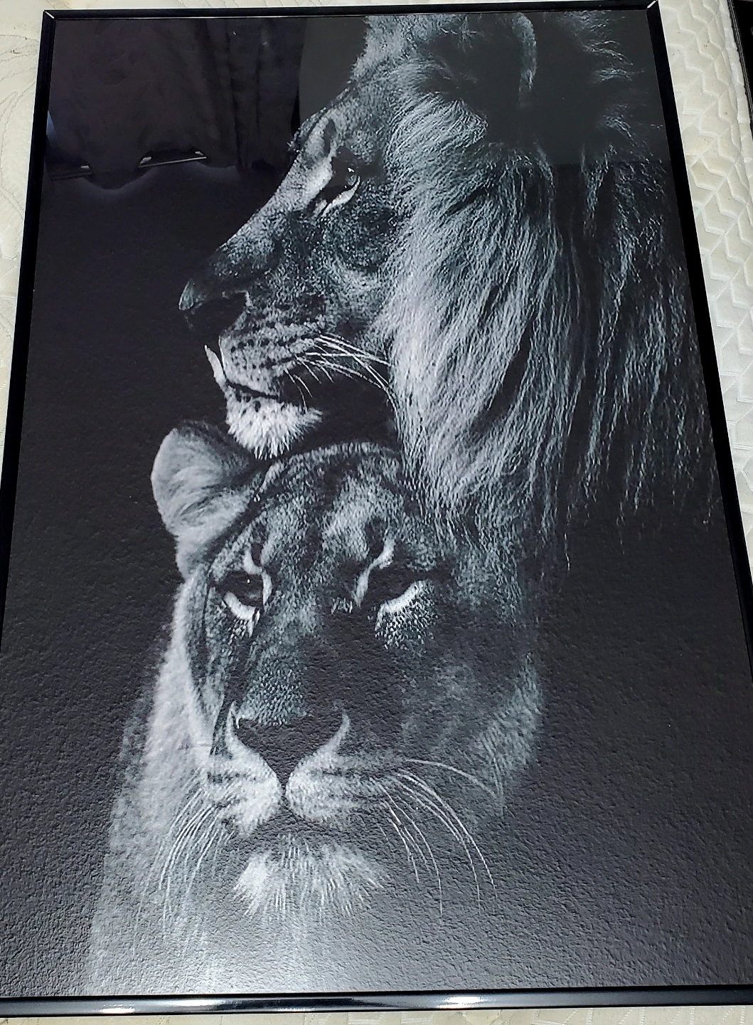 Set of 3 Framed Lion Canvas Prints - photo 4