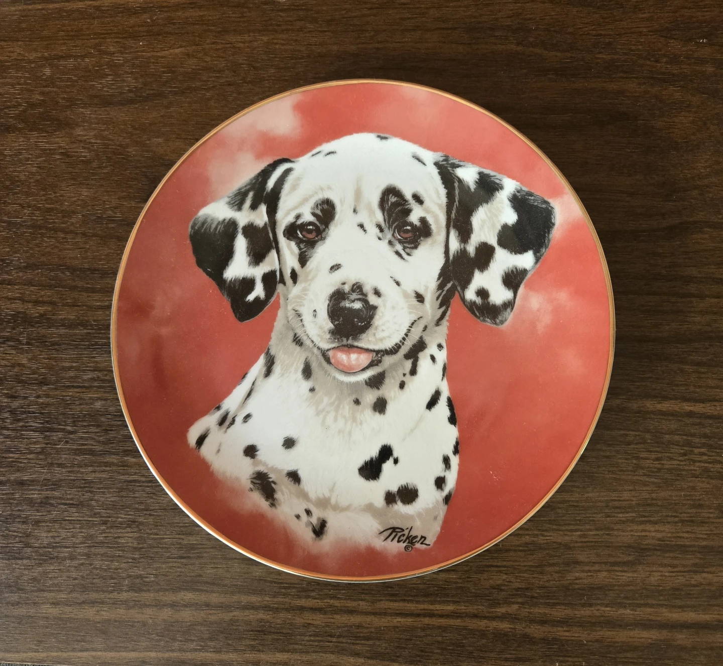 Dalmatian Decorative Plate by Princeton Gallery