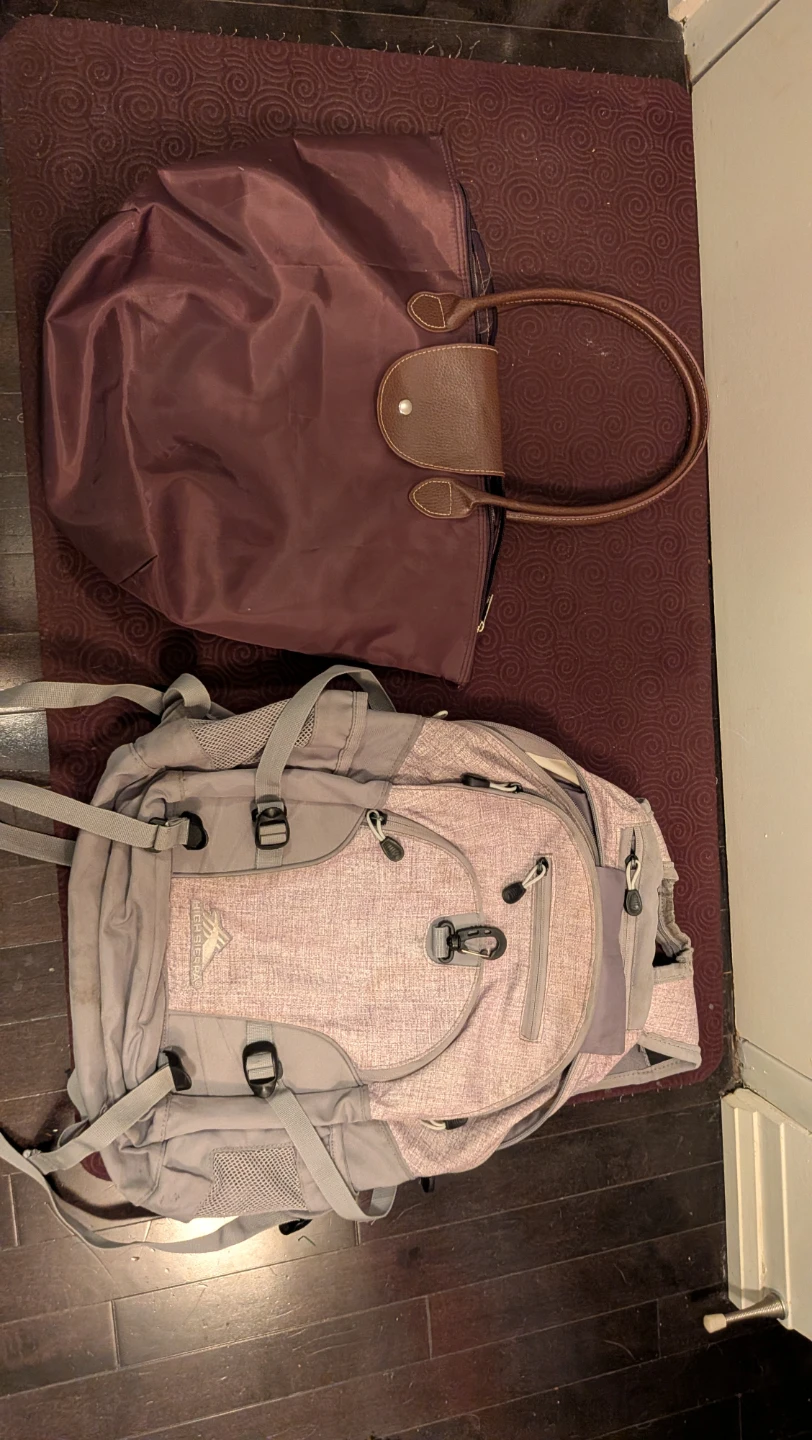 High Sierra backpack and Brown Tote