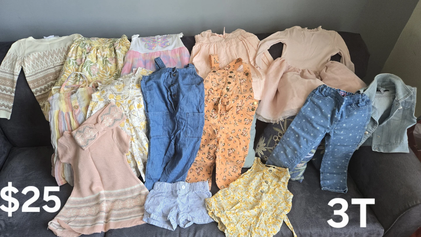 Size 3T Girls Clothing Bundle