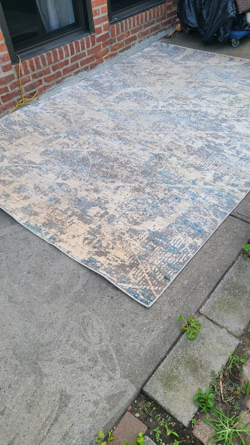 Brio Designer Inspired Area Rug 6ft x 9ft - photo 2