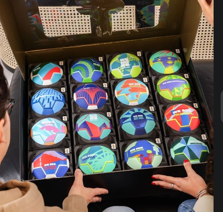FIFA World Cup Mini Soccer Balls Collection