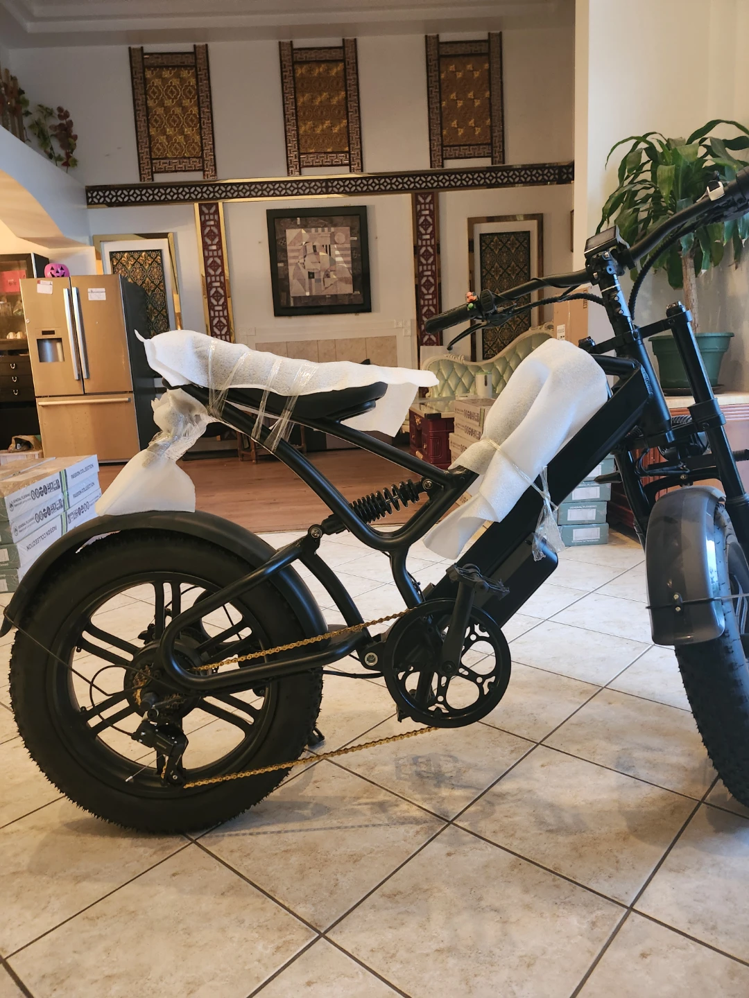 Electric Fat Tire Bike，no battery