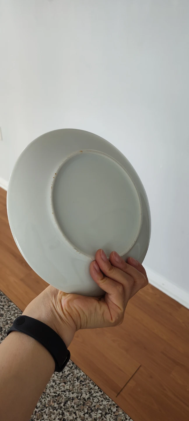 Set of 2 White Dinner Plates - photo 4