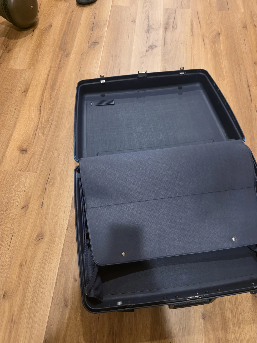 Vintage Delsey Suitcase - photo 3