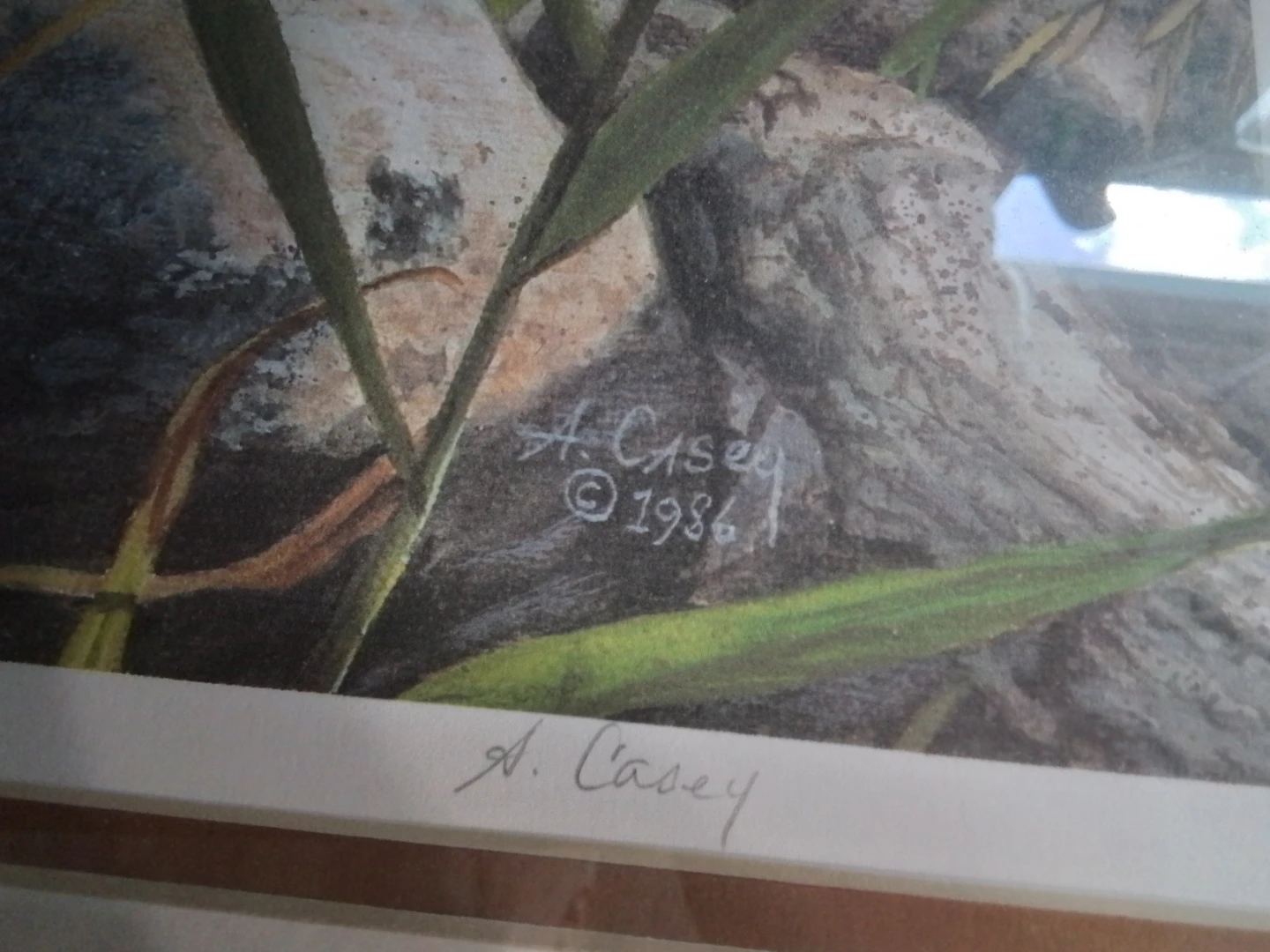 A. Casey Framed Print - Chipmunk Nature Art (1986) - 448/500 - photo 4