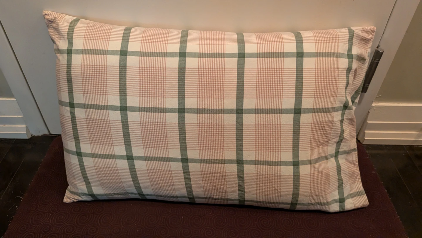 Sealy Pillow with sham - photo 3