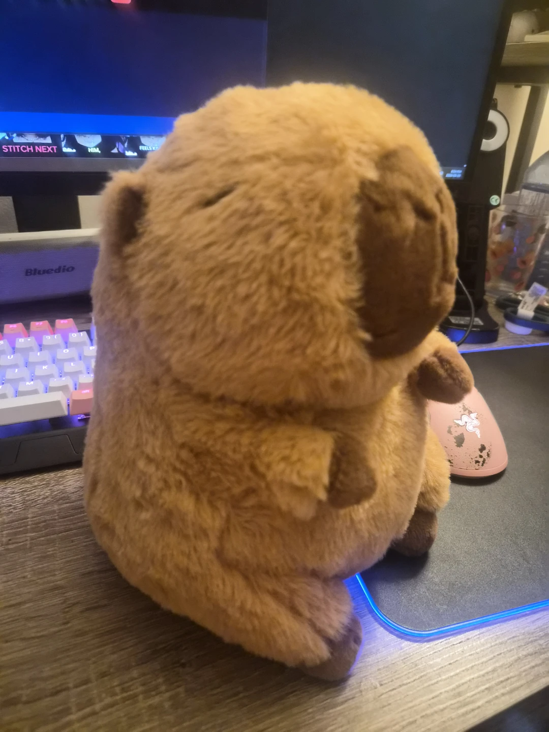 Capybara heating pad and plush toy