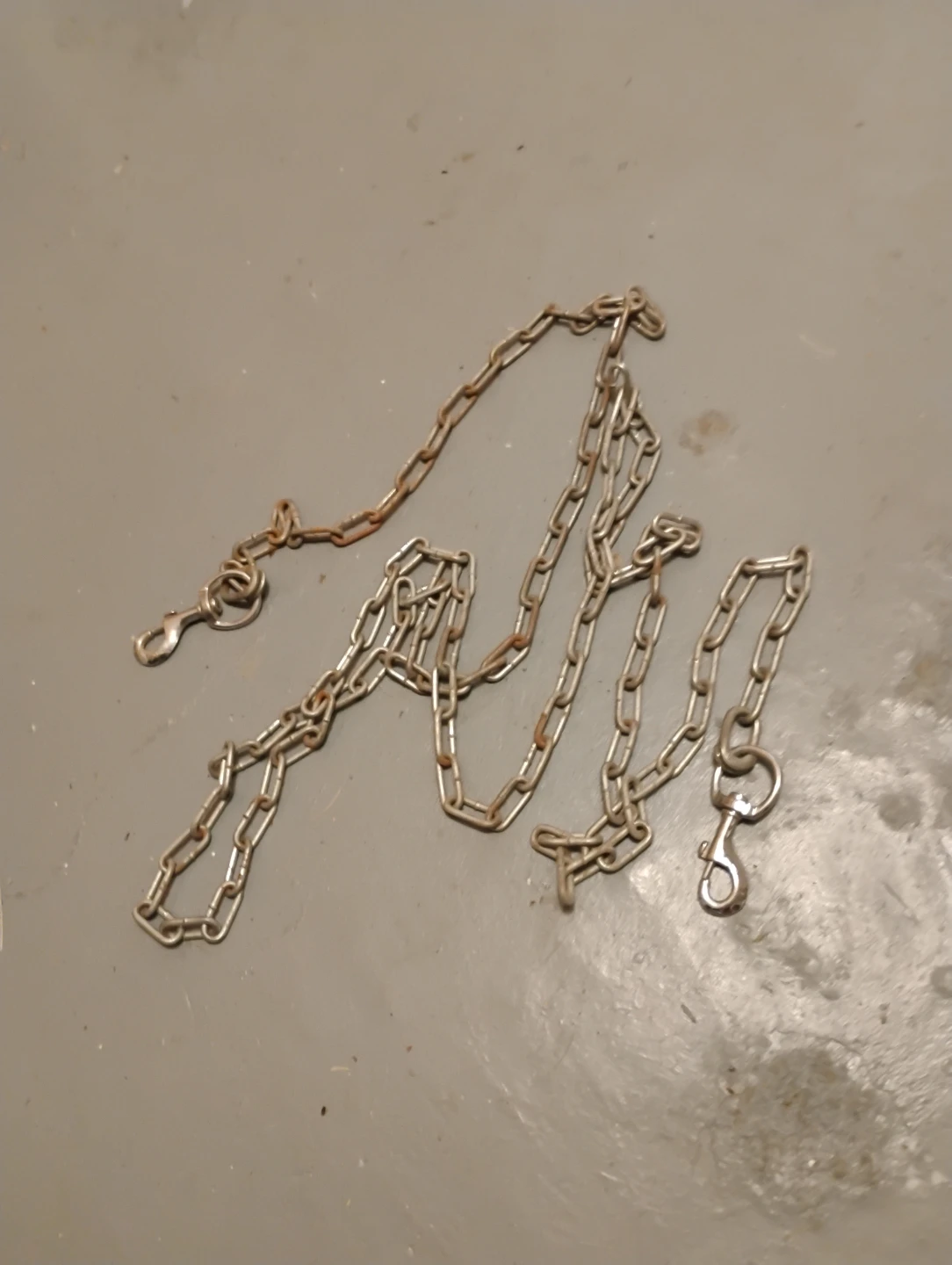 Metal Chain Leash